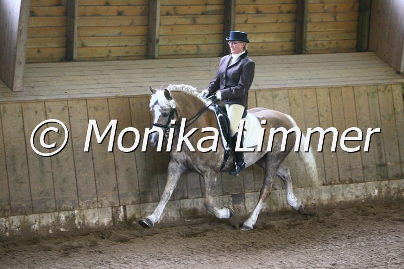 006M5230_Dressurpferde L.JPG